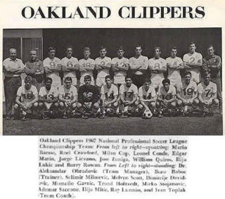 Clippers 67 Home Team