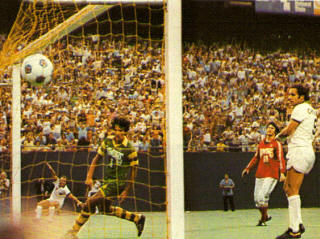 Cosmos 78 Home Back Giorgio Chinaglia
