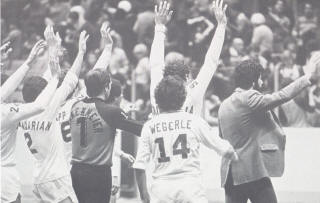 cosmos 80-81 indoor home steve wegerle