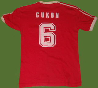 NASL Soccer Toronto Metros-Croatia 76 Road Jersey Mladen Cukon.jpg Back