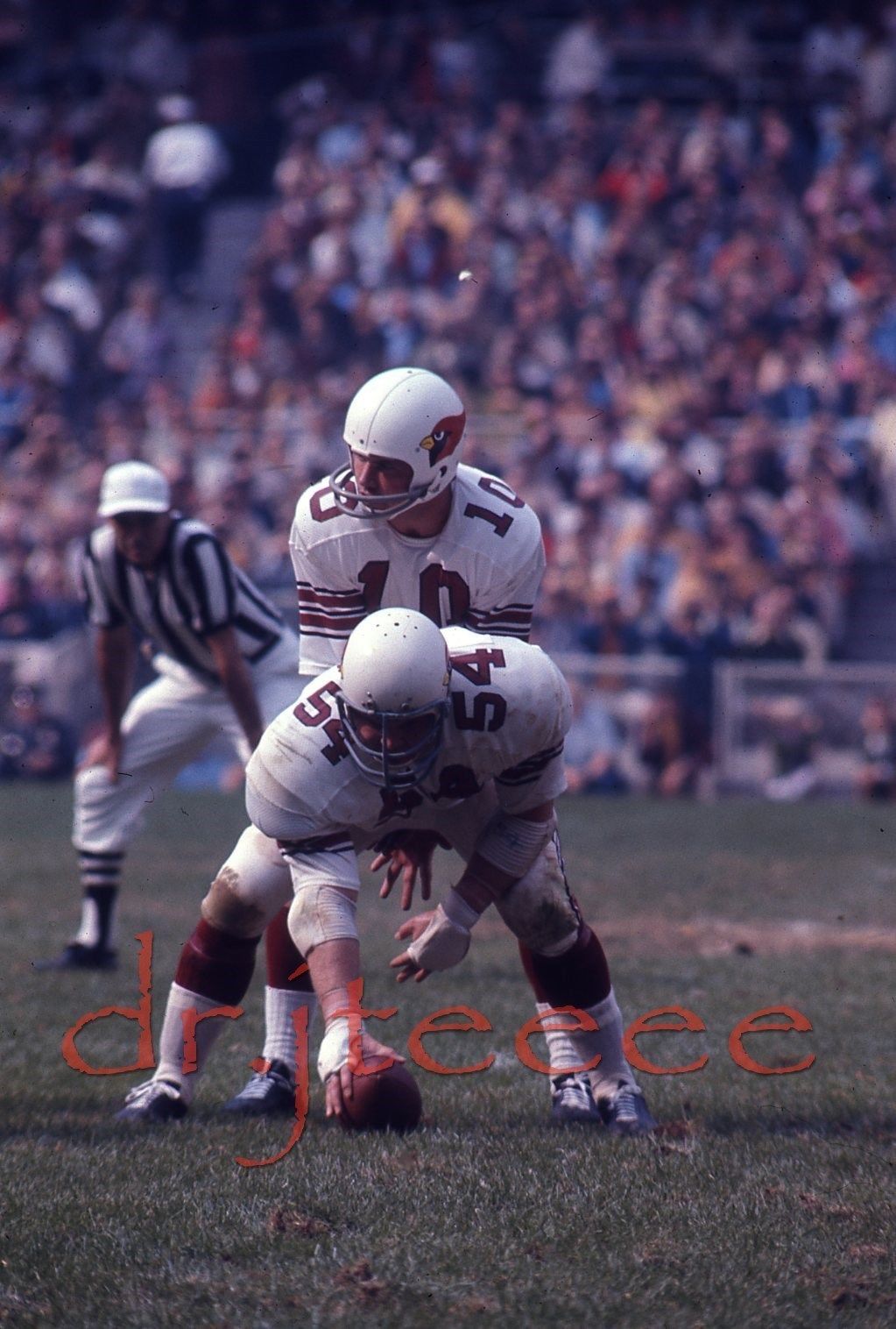 St. Louis Cardinals 1971 (NFL)