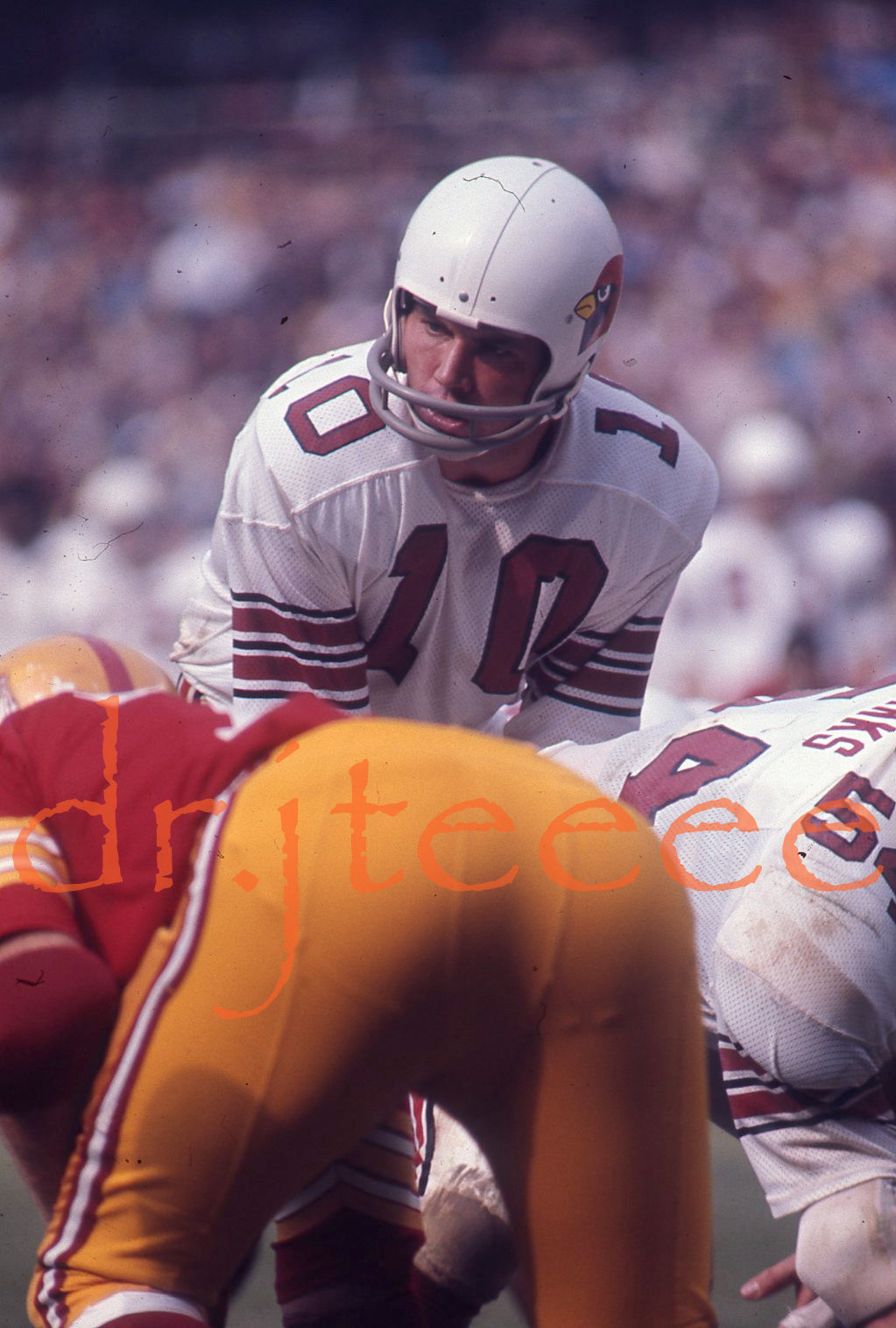 St. Louis Cardinals 1971 (NFL)