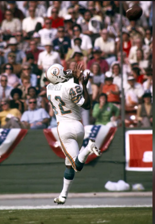 Paul Warfield  Miami dolphins football, Nfl football teams, Dolphins  football