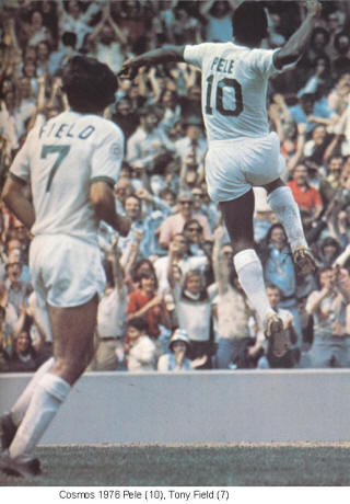 NASL Soccer New York Cosmos 76 Home Back Tony Field