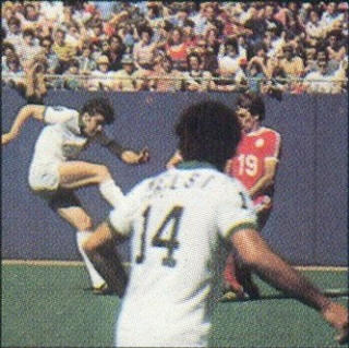 New York Cosmos 77 Home Back No Logo No Num Nelsi Morais