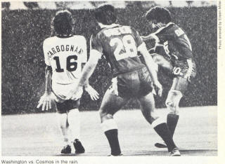 Washington Diplomats New York Cosmos 1979 Home Back Toni Carbognani, Alan Green, Gary Darrell