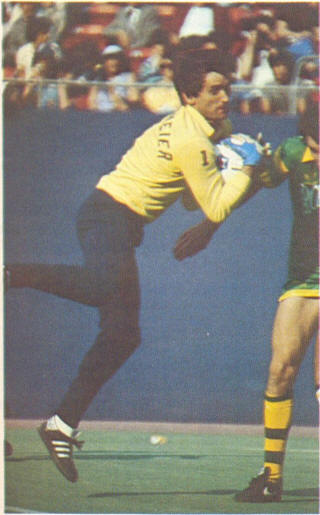 NASL Soccer New York Cosmos 80 Goalie Back Hubert Birkenmeier