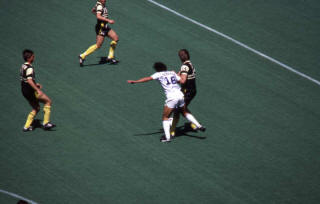 Cosmos 81 Home Back Angelo DiBernardo, Sting