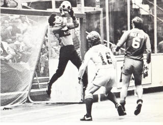 Arrows 79-80 Goalie Shep Messing, Molnar