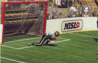  Force 80-81 Goalie Back Cliff Brown