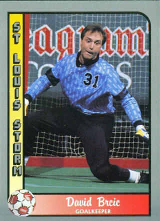 Storm 89-90 Goalie David Brcic