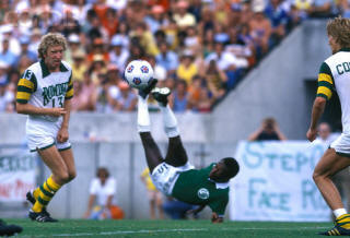 Rowdies 77 Home Stewart Jump, Cosmos