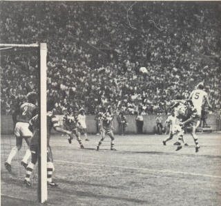 NASL Soccer Tampa Bay Rowdies 79-80 goalie Back Zeljko Bilecki