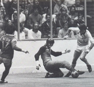 Sockers 82-83 Home Back Steve Nesin, Alan Mayer