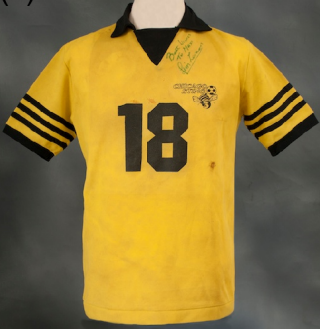 chicago sting jersey