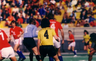 Chicago Sting 1977 Home Back Clive Griffiths.jpg