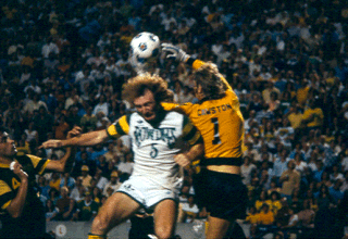 NASL Soccer Chicago Sting 78 Goalie Back Mervyn Cawston.gif