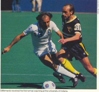 NASL Soccer Chicago Sting 81 Road Dave Huson