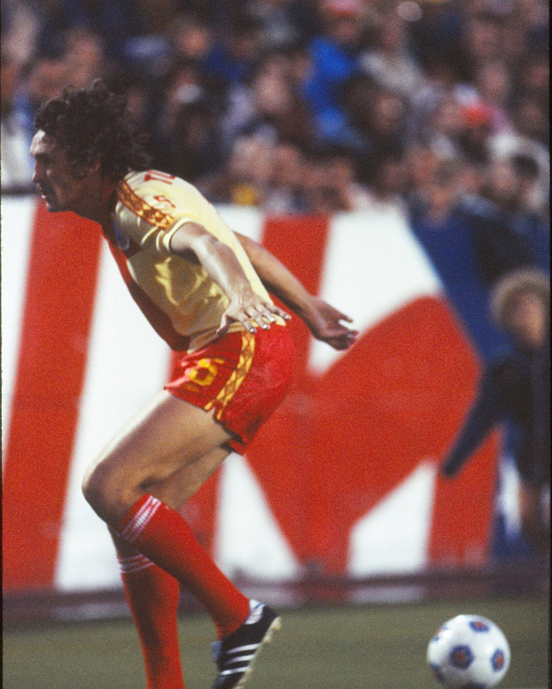 NASL-Chris Turner