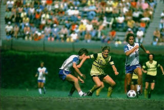 Chicago Sting DallasTornado 1978 Home Max Thompson, Kevin Kewley, Karl-Heinz Granitza